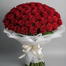 Букет 101 Красная роза Блэк Мэджик в Рассвет