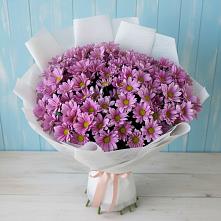 Букет цветов из:  Хризантемы #REPLACE_PRED# Рассвет