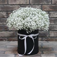 Цветочная композиция из Гипсофила в шляпной коробке в Рассвет