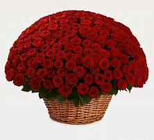 Премиум букет из: Розы в Рассвет